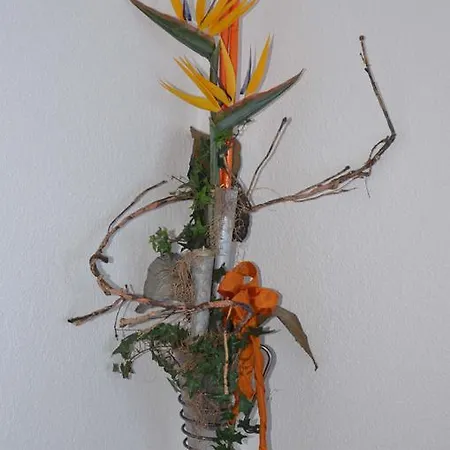 Garni Sport Sonneck גלטור